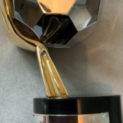 The Sun 1975 West Ham Football Award: Stunning expensively made heavy trophy. Plaque reads The Sun Football Award 1975 Top Newcomer Alan Taylor. COA from Alan Taylor who was recognised in his first season at West Ham aged 21 for scoring 6 goals in the latter stages of the FA Cup run to help win West Ham the cup.