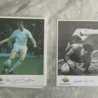 England 1966 World Cup Team Autographed Editions Collection: All 10 players that reputable company Autographed Editions made which each large card having an undedicated autograph to lower border. Bobby Moore sadly was not alive when these were produced so this is all the 10 that were produced from the famous winning final team. (10)