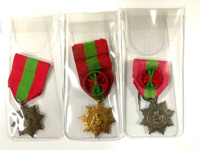 France, Médaille de la Famille Française, Social medals. (3)