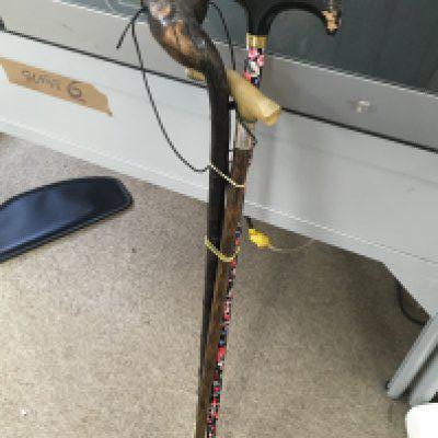 Three walking sticks