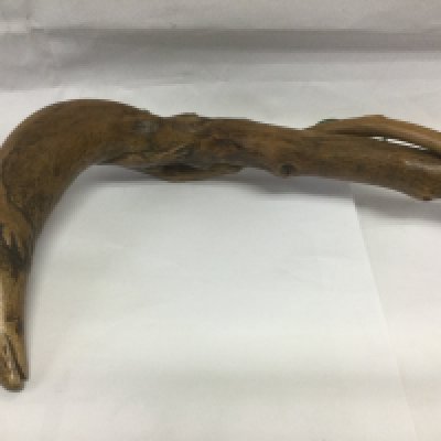 A walking cane, the handle in the form of a rodent like creature, the elongated tail winding around the shaft of the stick, approx total length 88cm. Shipping category D.