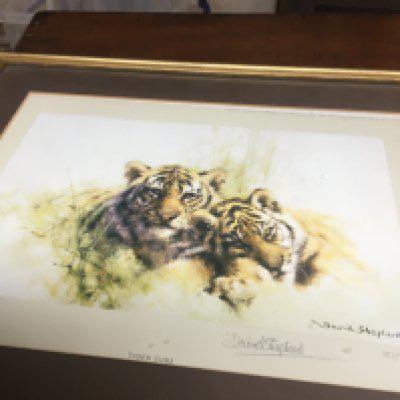 Two small David Shepherd signed prints depicting tigers and there cubs .20 x 25 cm