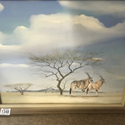 A framed oil on board featuring a springbok signed Allen Carter . 50 x 40 cm .