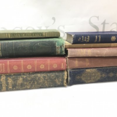 A Collection of 19th and early 20th century books including The Lancashire Witches By Harrison Ainsworth, The lady of the lake J. Lobban 1908, The Pilgrims Progress by John Bunyan 1904, Northanger Abbey Jane Austen, Villette By Charlotte Bronte, the poetical works of John Milton 1862 . Postage category B. NO RESERVE