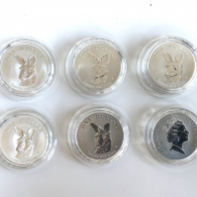 6 1995 Australian 1 Ounce coins. (A)