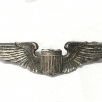 A US airforce badge marked sterling on the back. Approx weight 19.77 grams.