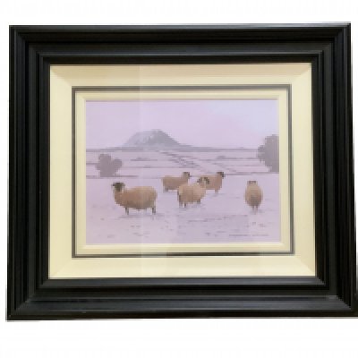 Gretort Moore, A 20th Century acrylic painting on canvas of Sheep. 68cm x 58cm.