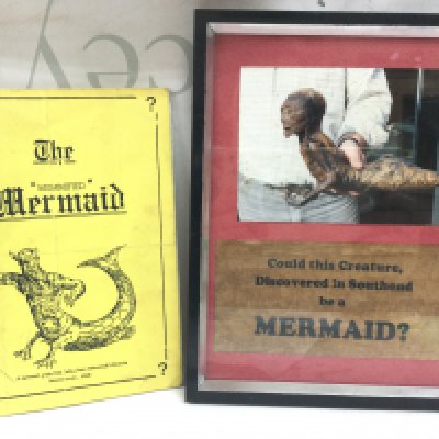 An Unsual framed photo of possible Southend mermaid and booklet on details