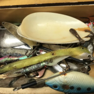 A box of fishing hooks , no reserve