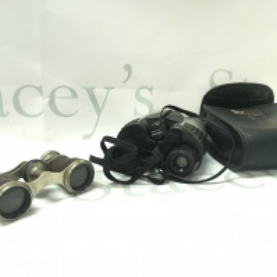 a vintage pair of small binoculars and a pair of Panaview 10x22gl binoculars . Postage category A