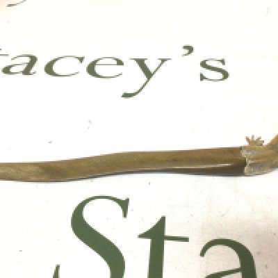 An Antique paper Knife with a shaped horn blade the end in the form of a lizard made in brass.