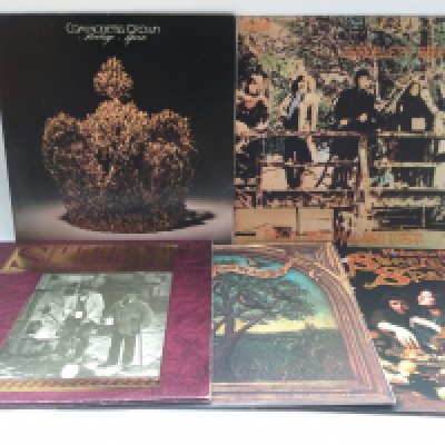 Eleven Steeleye Span LPs comprising reissues of 'Commoners Crown', 'Hark! The Village Wait', 'Please To See The King' and others.