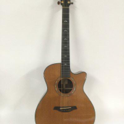 A 2014 fine quality hand built Furch G23 CR cutaway acoustic guitar fitted with an internal pickup. Comes with a Furch branded Hiscox hard carry case.
