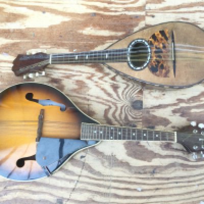 Two mandolins comprising a circa 1900 example by Ermenegildo Ferrari of Napoli plus a modern example (2).