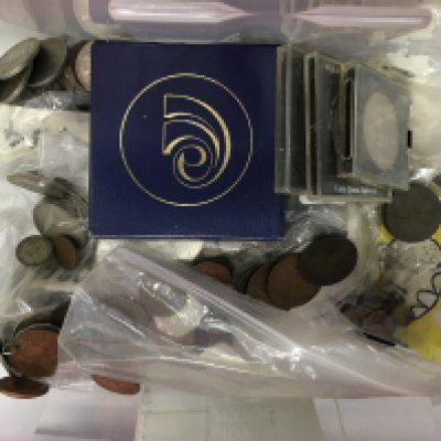 Withdrawn - A collection of coins from the victorian period and later.