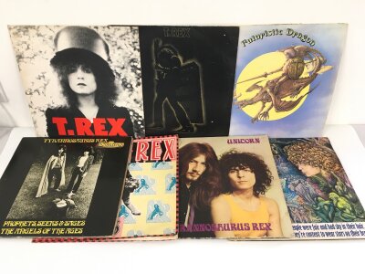 A collection of T Rex LPs and 7" singles including Electric Warrior, Futuristic Dragon and others.