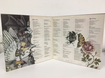 A signed Kate Bush Never For Ever LP.