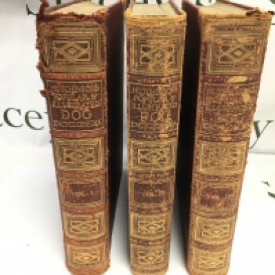 Hutchinson&#2013266057۪s popular and illustrated dog encyclopaedia Volume 1 2 and 3. Postage B