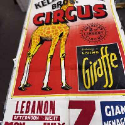 Two boxes of circus posters including posters from Ringling BROS. And Barnum & Baileys circus.