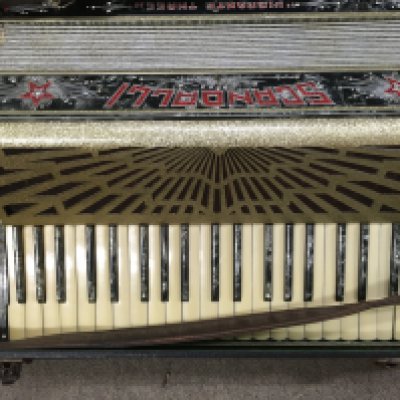 A. Italian acordian fitted in original case