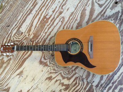 A left handed Eko Ranger acoustic guitar. No case.