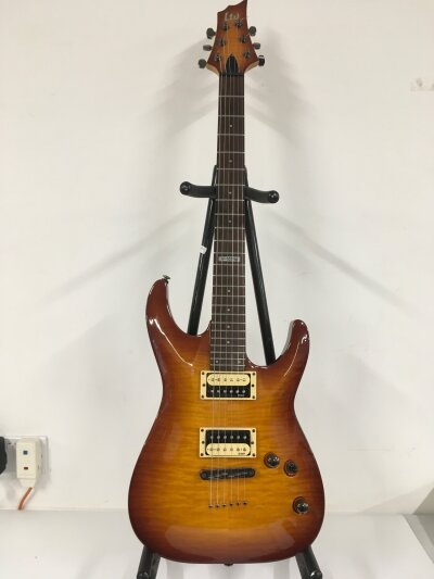 An ESP H101FM electric guitar. Comes with soft carry case.