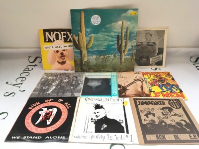 A small collection of grunge, punk and alt rock records comprising mainly 7" singles by The Mummies, NOFX and others plus a Rocket From The Crypt six track 10" record.