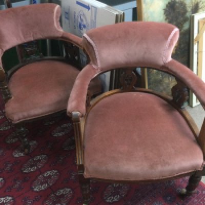 A pair of Edwardian carved walnut and upholstered tub chairs. Shipping category D.