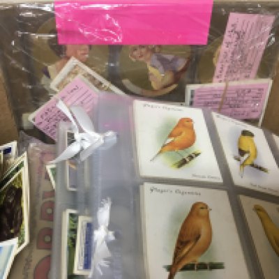 A Box containing a collection of cigarette cards including 1939 round cards 1939 Beauties of the Cinema English league football captains large size Players Aviary and Cage birds.